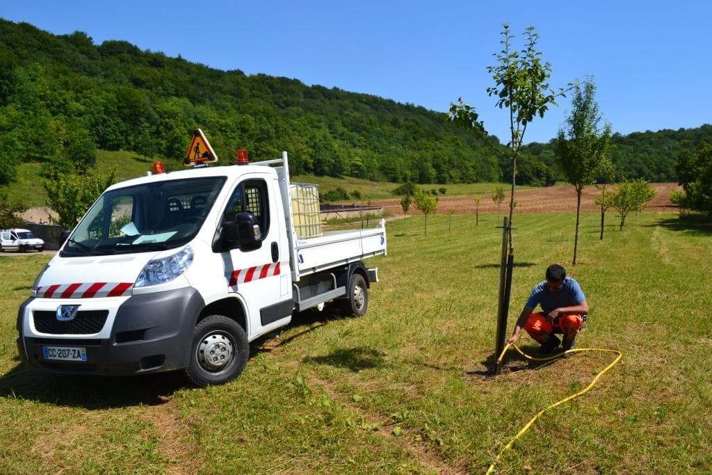 Une image contenant herbe, ciel, extérieur, arbre

Description générée automatiquement