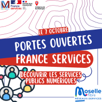Moselle Fibre