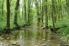 La vallée du Rupt De Mad