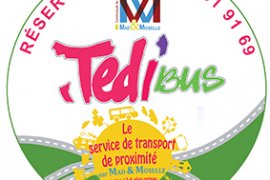 Tedi'bus